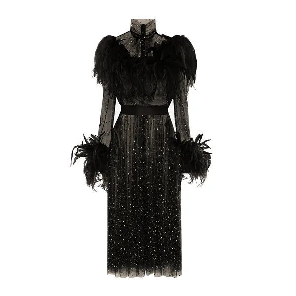 Dolce & Gabbana Calf-length stretch tulle dress with fusible rhinestones and rooster and ostrich feather embellishment