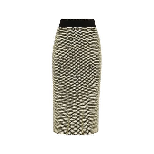 Dolce & Gabbana Midi pencil skirt in crystal mesh