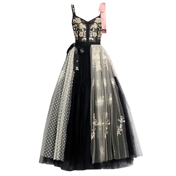 Embroidered Tulle Sleeveless Dress