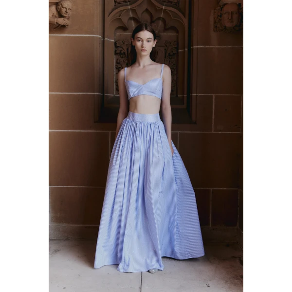 Macgraw Literature Skirt in Blue and white stripe, view 2