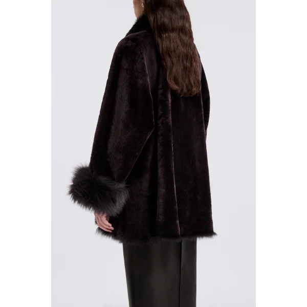 Nour Hammour Fall 2026