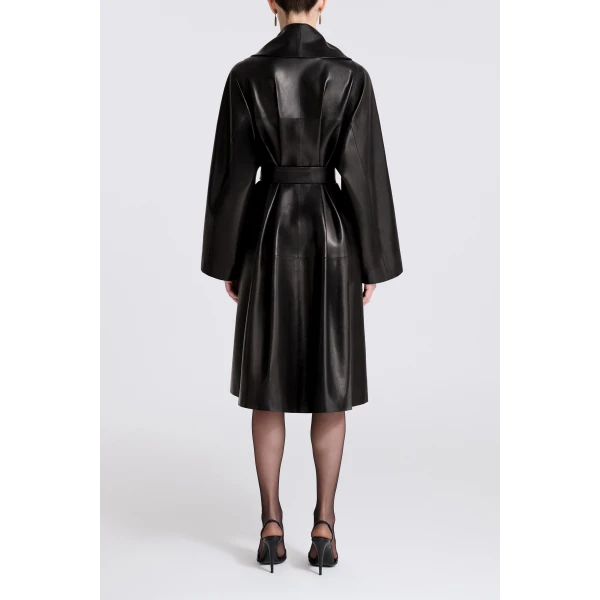 Nour Hammour Fall 2026
