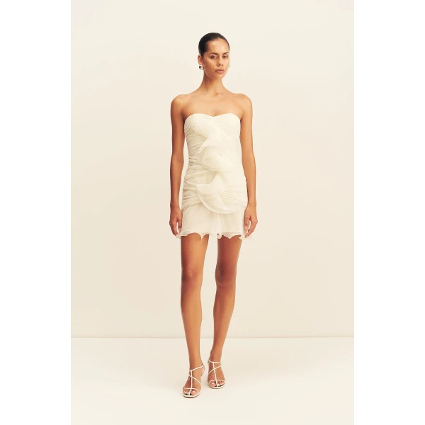 Shona Joy Dresses