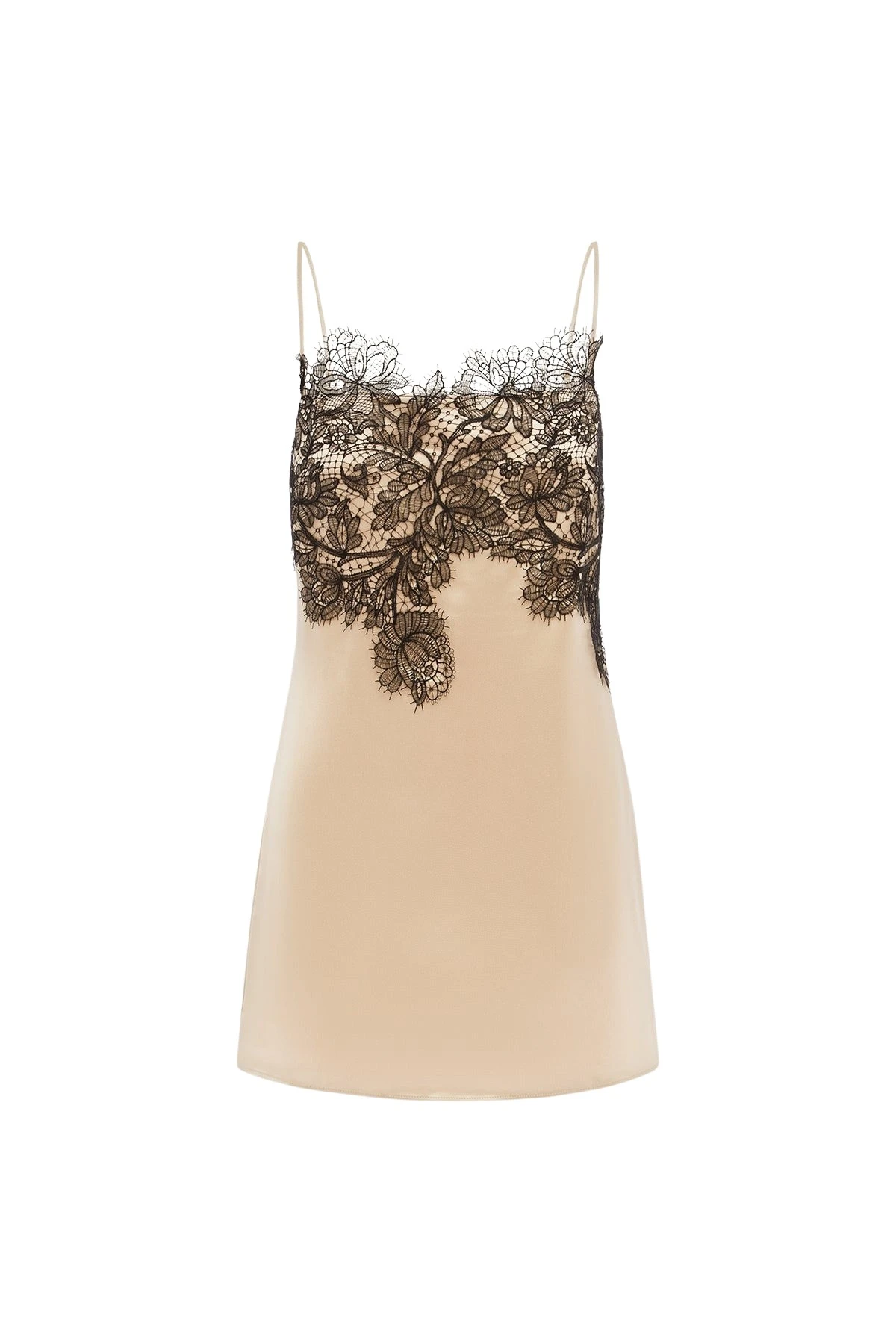 Shona-Joy-Lucia-Lace-Mini-Dress-in-Champagne-Lace-coveti54068_nobg Lucia Lace Mini Dress in Champagne Lace - Image 1