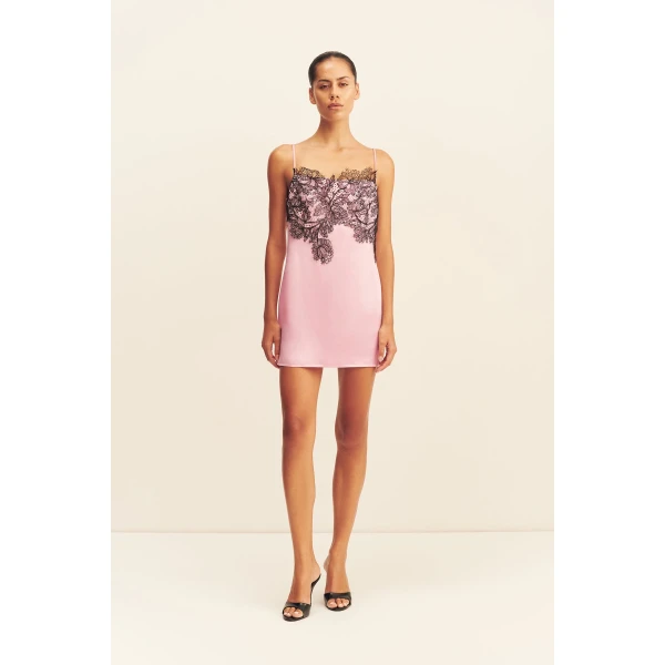Shona Joy Dresses