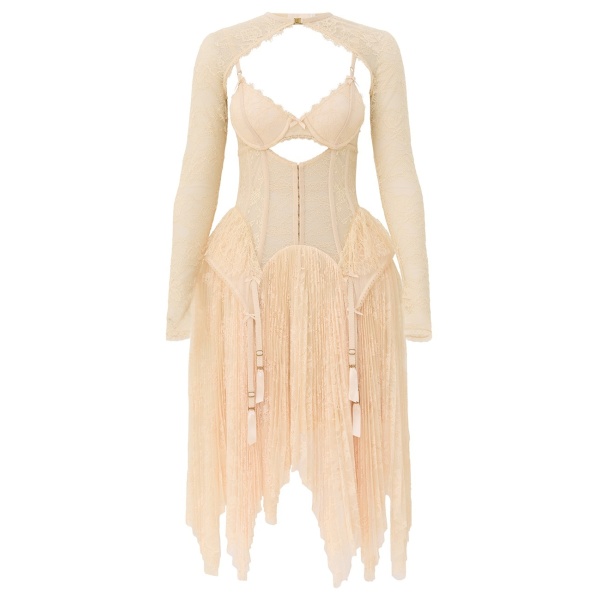 Zimmermann Valiant Lingerie Mini Dress