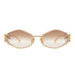 Anna-Karin Karlsson Claw Plume Sunglasses in Gold White Diamond Edition