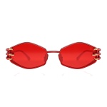 Anna-Karin Karlsson Claw Plume Sunglasses in Rouge