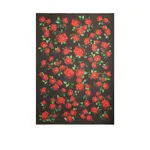 Dolce & Gabbana 135x200 rose-print cashmere blend stole