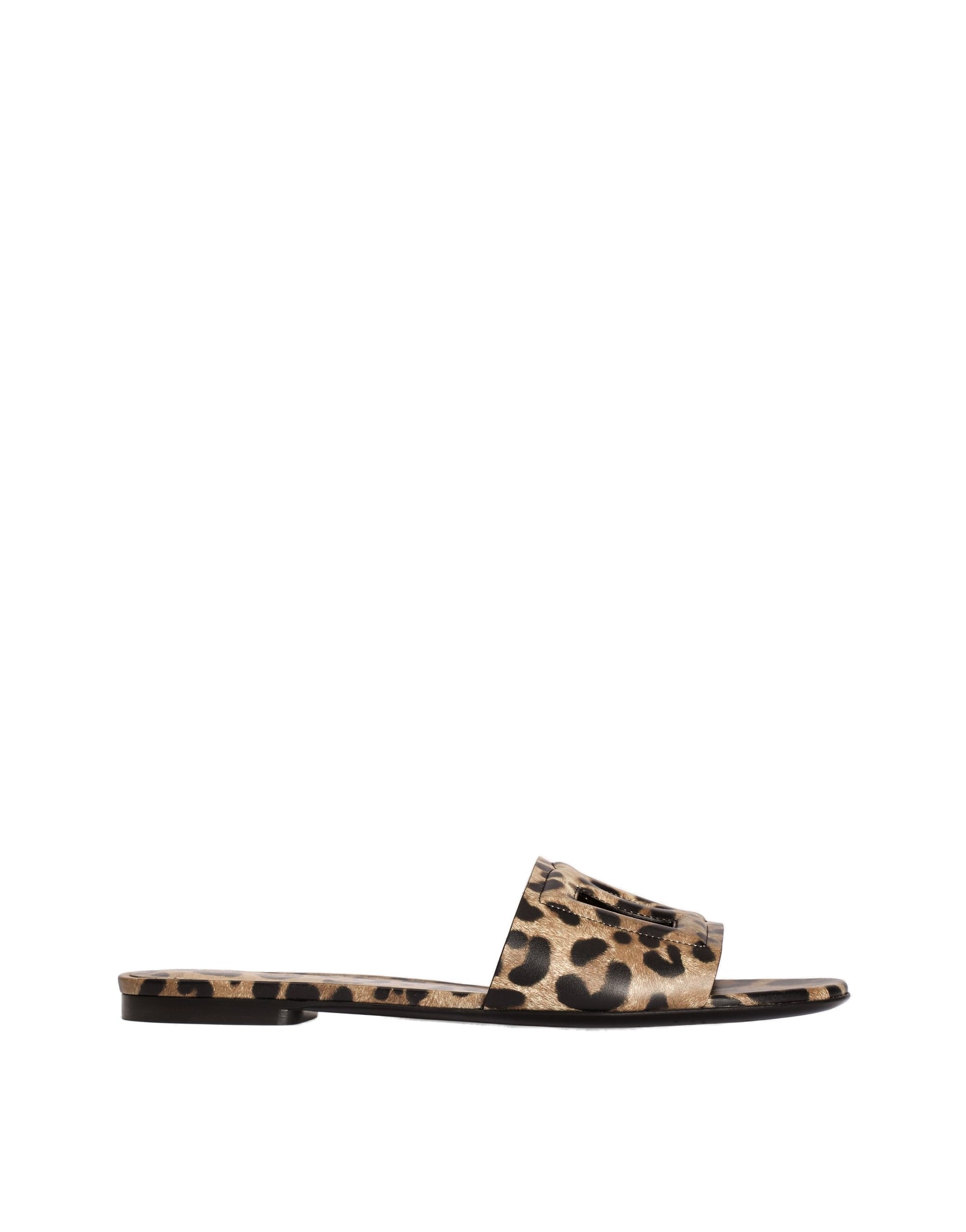 Dolce & Gabbana Leo-print calfskin flat slides in Print | Buy Shoes at Coveti Dolce & Gabbana Leo-print calfskin flat slides