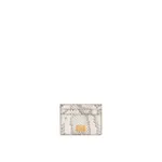 Dolce & Gabbana Python card holder