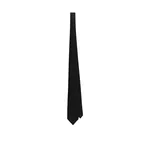 Dolce & Gabbana Twill tie