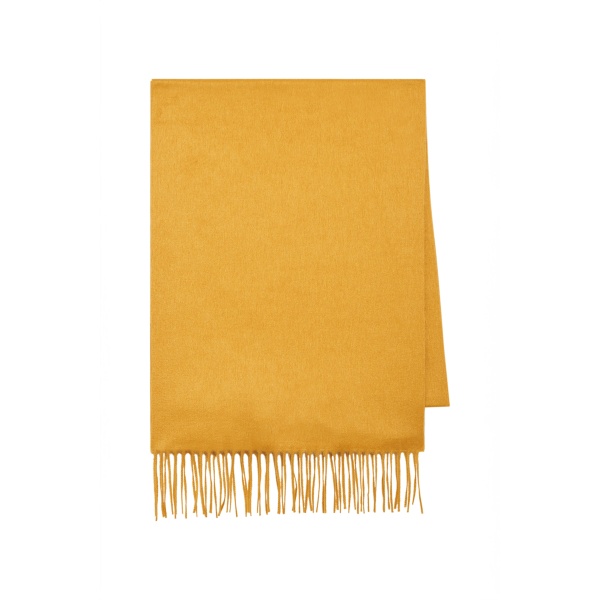 gabriela hearst scarf