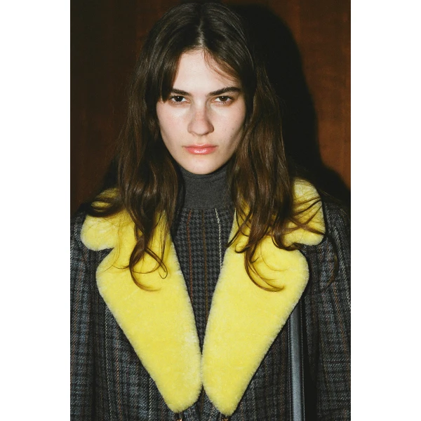 luxury collar