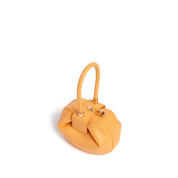 designer bag