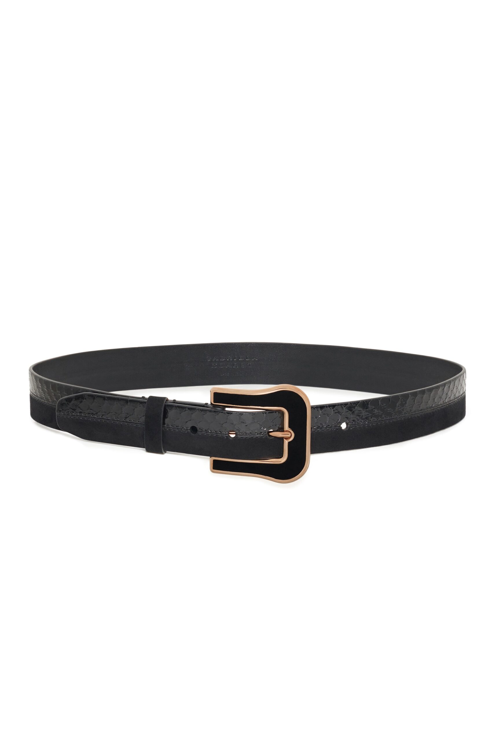 Gabriela Hearst Maireed Belt in Black Snakeskin & Leather gabriela hearst belt
