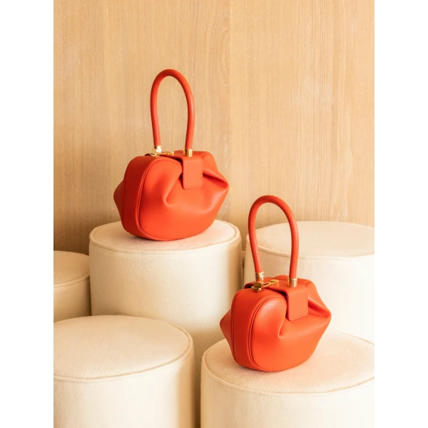 luxury bag