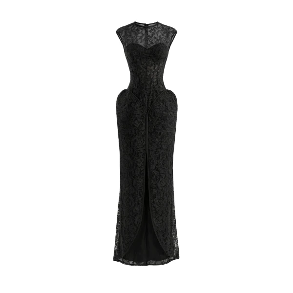Sculpted Lace Dress with Sheer Bodice