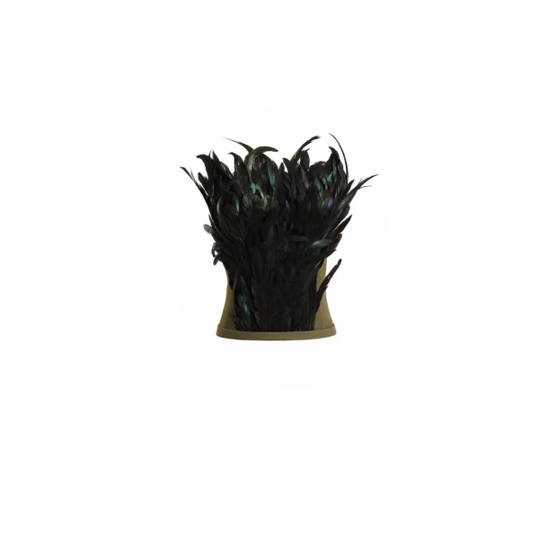 Strapless Feathered Corset Top