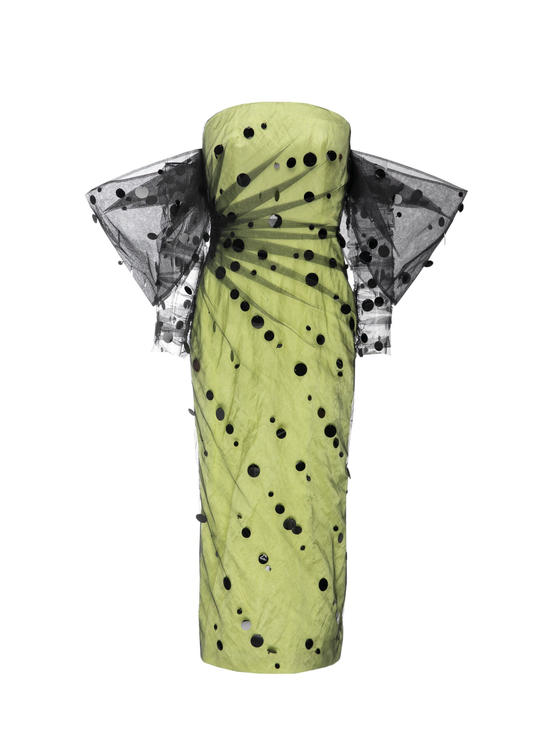 Camelia Dress in Citronelle Black Embroidered Tulle