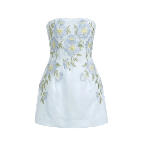 Floral Embroidered Strapless Corset Mini Dress in Light Blue