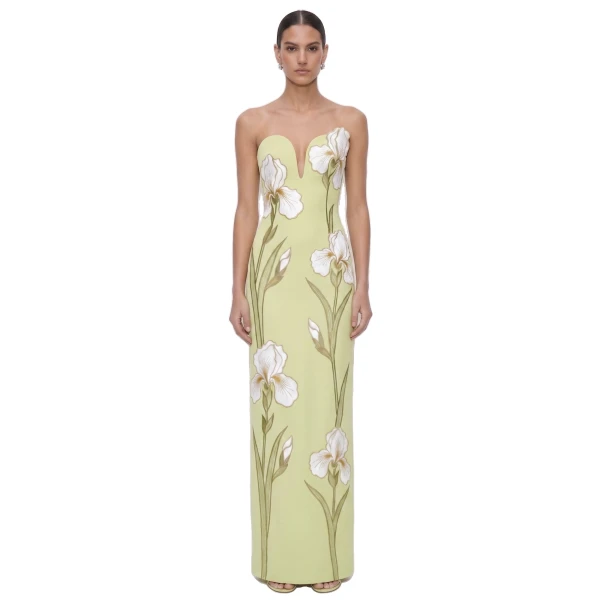 Iris Embroidered Notch Neck Strapless Maxi Dress in Light Green