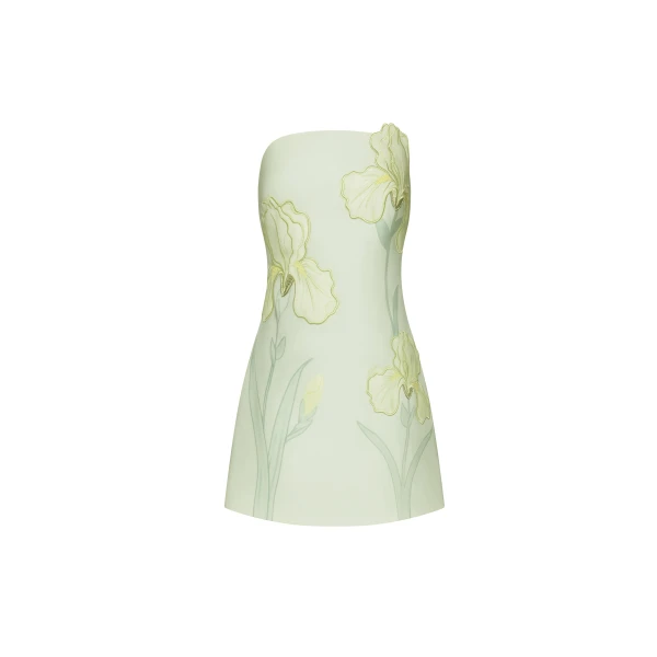 Iris Floral Print Strapless Dress in Green