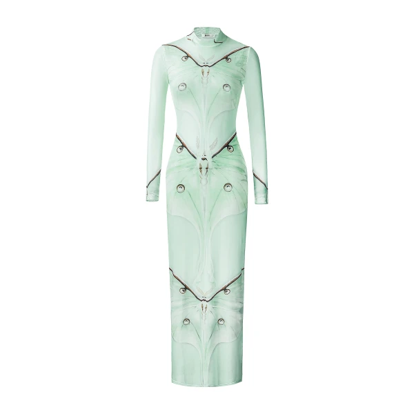 Moth Sheer Mesh Gown in Green/Beige