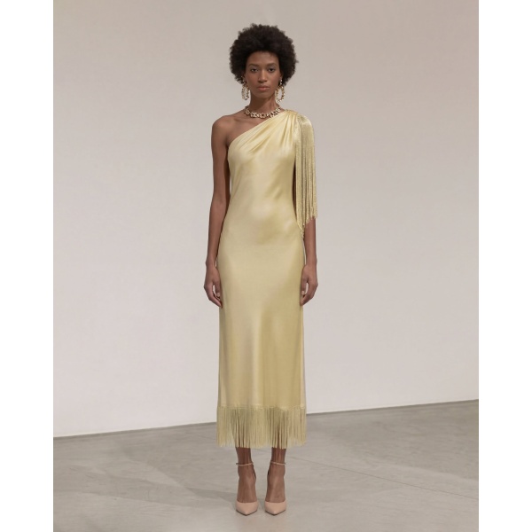 JW PEI One Shoulder Fringe Midi Dress