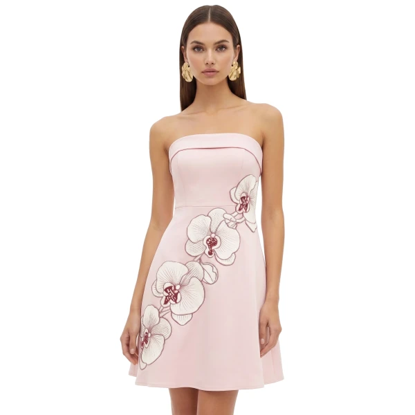 Orchid Embroidered Strapless A-Line Midi Dress in Blush Pink