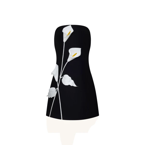 Strapless Floral Appliqué Dress in Black