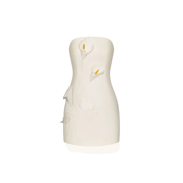Strapless Floral Appliqué Dress in White