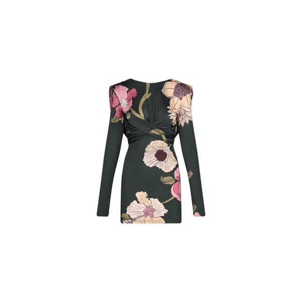 Johanna Ortiz Playful Grace Dress in Green and Rose