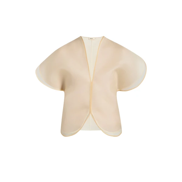 Briar Top in Champagne