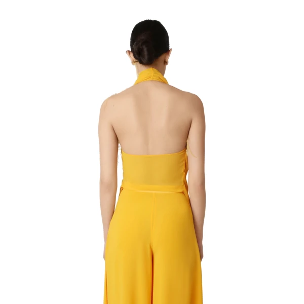 lightweight georgette draped cowl neck top with feathers