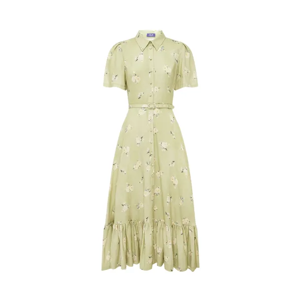 Becca Short Sleeve Midi Dress in Pistachio Rose Print