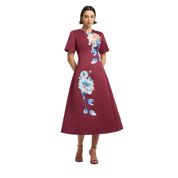 Cosmos Print