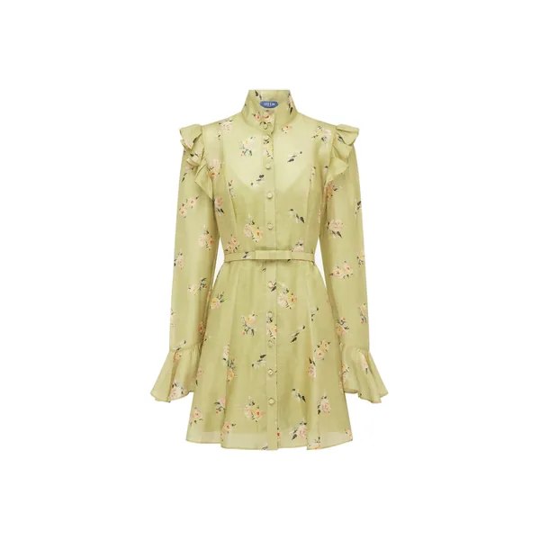 Kristy Butterfly Sleeve Mini Dress in Pistachio Rose Print