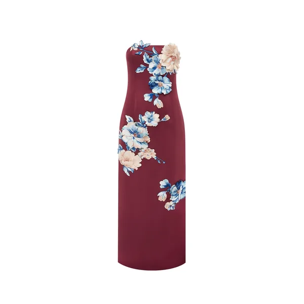 Rayna Embroidered Maxi Dress in Cosmos Print