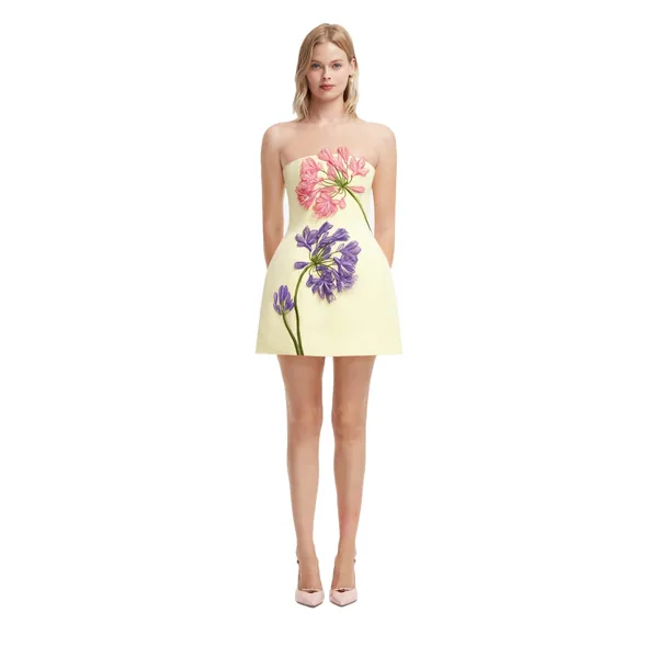 Roselle Appliqué Bustier Mini Dress