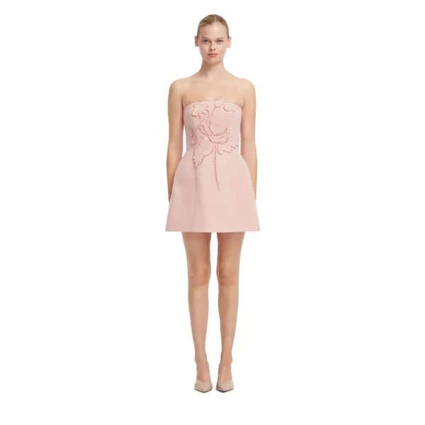 Roselle Appliqué Tweed Bustier Mini Dress