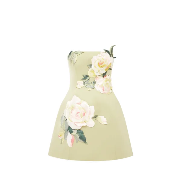 Roselle Embroidered Bustier Mini Dress in Pistachio Rose Print