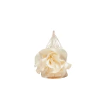 Magda Butrym Small Devana bag in cream
