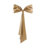 Saiid Kobeisy Bow Cape in Light Gold