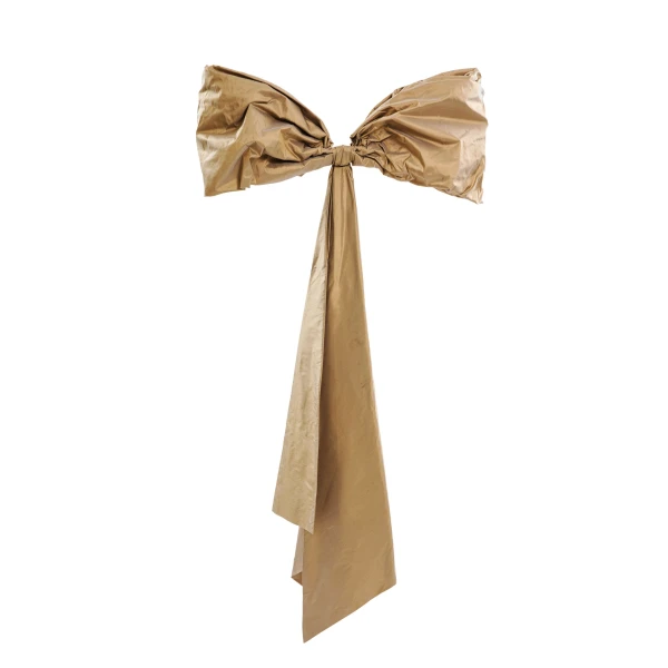 Saiid Kobeisy Bow Cape in Light Gold