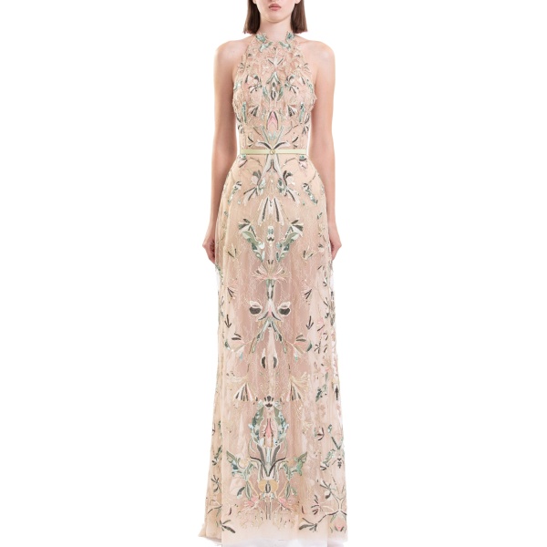 Saiid Kobeisy Embroidered Halter-Neck Lace Dress in Skin and Multicolour