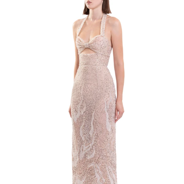 Saiid Kobeisy Embroidered Tulle Fitted Dress in Light Gold, view 4