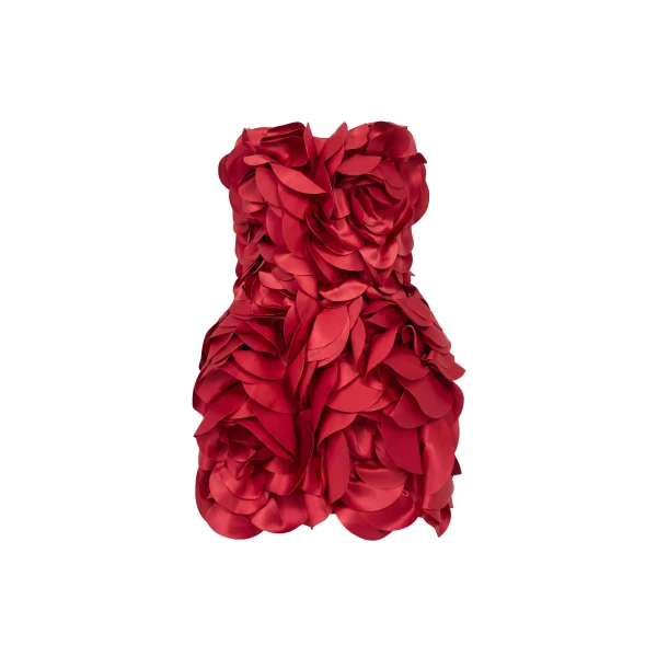 Saiid Kobeisy Floral Mini Dress in Space Cherry