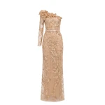 Saiid Kobeisy One-Shoulder Embroidered Tulle Dress in Light Gold