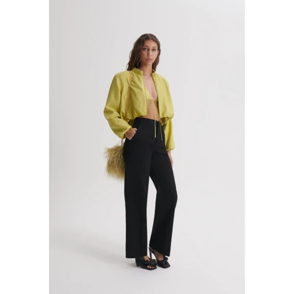Scanlan Theodore trousers